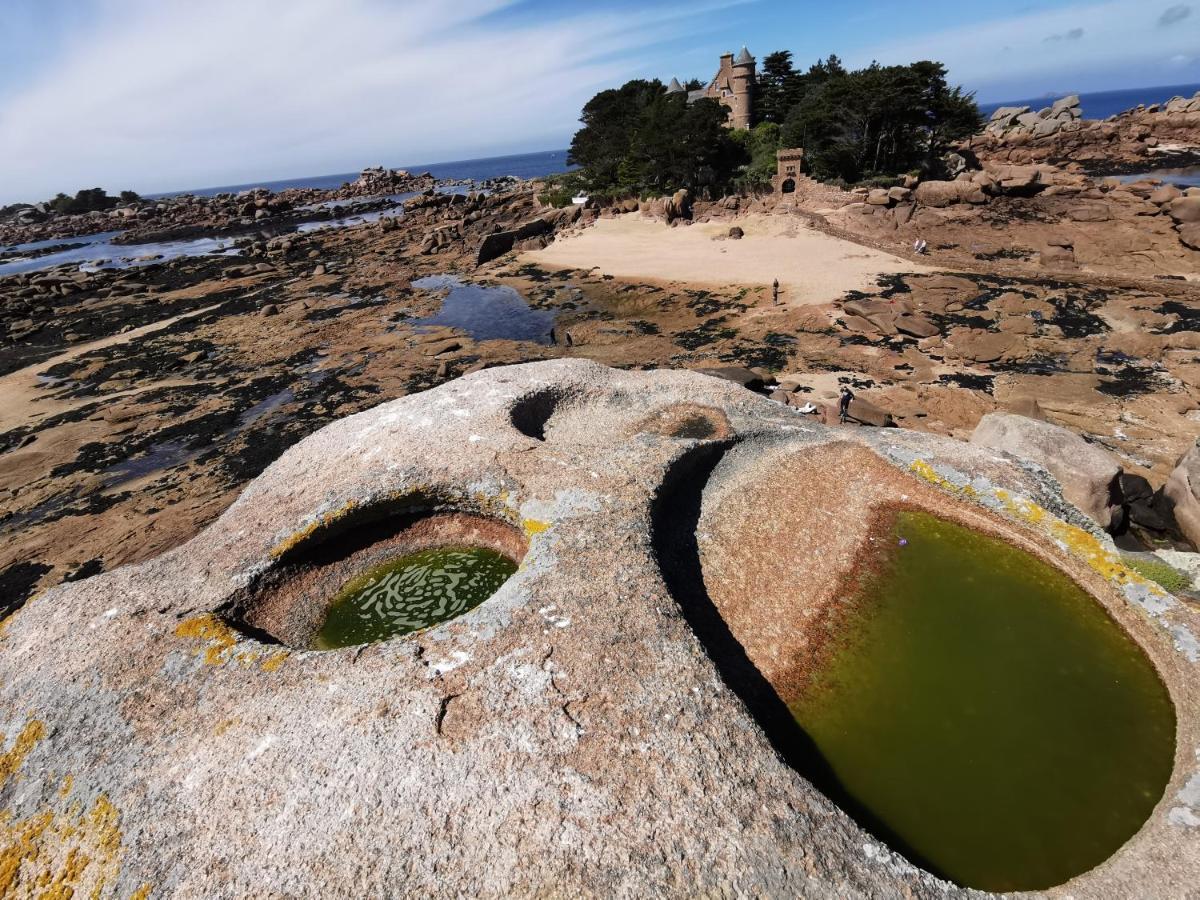 Haut En Couleurs Saint-Quay-Perros Dış mekan fotoğraf